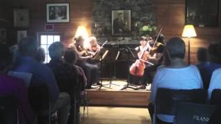 Haydn String Quartet G Major Op76 No 1 [upl. by Devan]