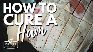 How to Cure a Ham  How to Cure a Ham at Home [upl. by Sitnik]