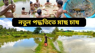 অধিক লাভ পেতে নতুন পদ্ধতিতে মাছ চাষ করুন  Fish farming in West Bengal [upl. by Arni]