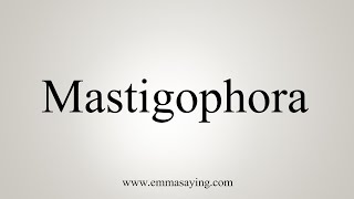 How To Say Mastigophora [upl. by Eissirhc]