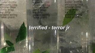 terrified  terror jr slowed down [upl. by Oironoh96]