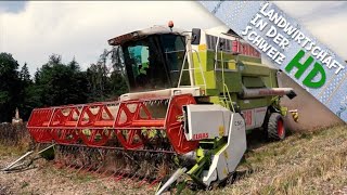 ERNTE SPEZIAL  Bohnen und Lupinen dreschen  Claas Mega 218 Dominator [upl. by Matthei]