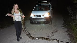 Huge Python Captured in South Florida [upl. by Nielsen]