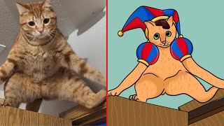 😂Cat Meme THE AMAZING DIGITAL CIRCUS CAT 🐱 Trending Funny Animals 2024 😹 funny cartoon drawing meme [upl. by Anyaled107]