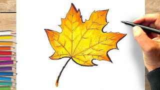 Comment dessiner une feuille d arbre automne facilement [upl. by Vic]