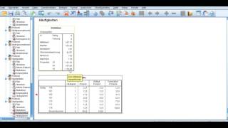 Deskriptive Statistiken mit SPSS und Häufigkeitstabellen [upl. by Rika]