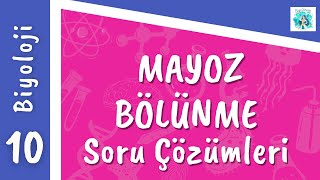 Biyoloji 10Sınıf  Mayoz Bölünme Soru Çözümleri [upl. by Elin]