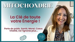 Comment la Mitochondrie Influence Notre Énergie et Notre Santé Biologie Cellulaire [upl. by Gilda]