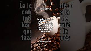 CAFEOMANCIA PT1 cafe espiritualidad lectura energia magia espiritual alma [upl. by Akerue602]