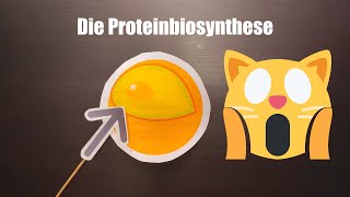 Die Proteinbiosynthese [upl. by Ibmab979]