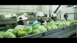 Dole fresh cut salad  english version [upl. by Pascasia]