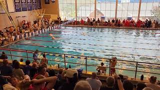 Hartwick Relays 101523200 IM relay [upl. by Zerdna150]