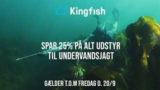 End of Summer Sale  Undervandsjagt [upl. by Oehsen]