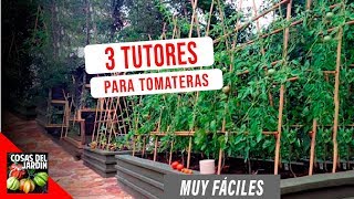 COMO GUIAR TOMATES Y ENTUTORADO  FACIL Y ECONOMICO ft en20metros [upl. by Erfert]