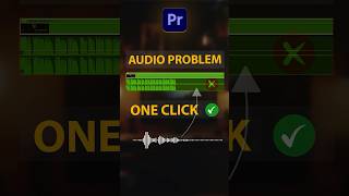 Audio Problem in Premiere Pro short [upl. by Andrien]
