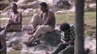 TIGRINA MUSIC 15 mekele ETHIOPIA [upl. by Roxine]