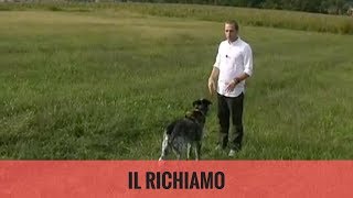 Il richiamo [upl. by Okier]