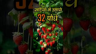 32 Plants can Grow in Winter JulyAugSepOctNov [upl. by Anis]