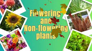 Flowering plants amp non flowering plants science sciencewithAB [upl. by Marzi888]