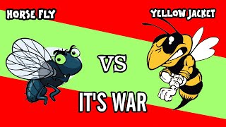 Horse Fly plays Chicken with a Yellow Jacket Wasp Will it get stung by the wasp Full version uncut [upl. by Reiniar710]