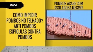 Como impedir pombos no telhado Anti Pombos Espículas contra Pombos [upl. by Fuller]