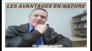 Les avantages en nature  Vidéo 166 [upl. by Nuahsyar]