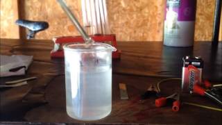 Making Bleach Sodium Hypochlorite from Table Salt Sodium Chloride [upl. by Cowley57]