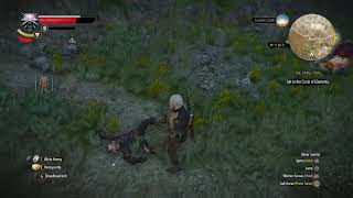 Lambert Death scene RARE witcher 3 [upl. by Eddi109]