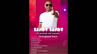 Ponte pa mi en vivo Sandy Sandy [upl. by Plantagenet]