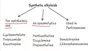 Definition of parasympatholytic drugs classification of parasympatholytic drugs [upl. by Celka]