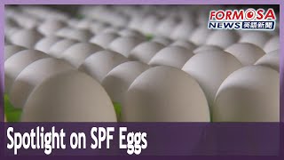 Spotlight on SPF eggs and their role in biotech vaccines and drug trials｜Taiwan News [upl. by Nojed]