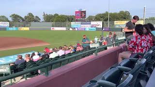 Delmarva shorebirds stadium [upl. by Ros]