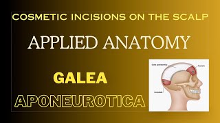 Galea aponeurotica Cosmetic incisions Applied anatomy of scalp [upl. by Asseralc447]