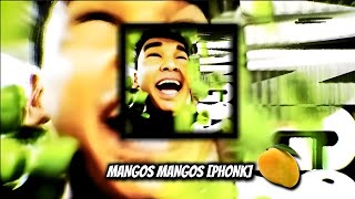 Mangos Mangos Phonk  BRAZILIAN PHONK  FonkSongsAnime edit songs Phonk Gym  Audio Edit  lofi🥭 [upl. by Ahsyekal179]