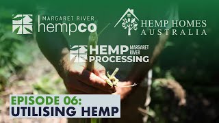 Utilizing The Whole Plant  The Many Uses For Hemp [upl. by Frodine462]