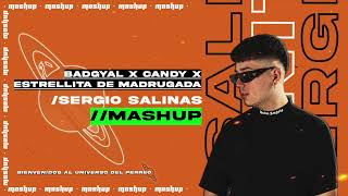 Badgyal X Candy X Estrellita de Madrugada Sergio Salinas Mashup Saiko JC Reyes Plan B Dei V [upl. by Etat172]