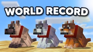 Becoming the FASTEST Person to Tame Every New Minecraft Wolf [upl. by Ardna]