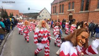 Narrentreffen Schlatt am 10 02 2019 Test von GoPro 7 4K [upl. by Ursel544]