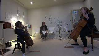 Lesson on Suzuki Cello Book 1 [upl. by Nonie]