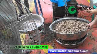 Making Your Own Wood Pellets with GEMCO Biomass Pellet Mill ZLSPR 420 Series [upl. by Adnihc]