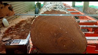 Sawing a Caltalpa Log [upl. by Fifine448]