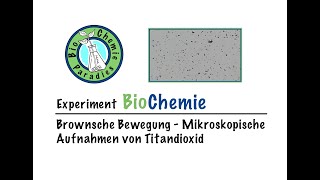 Experiment BioChemie – Brownsche Bewegung – Mikroskopische Aufnahmen von Titandioxid [upl. by Luahs]