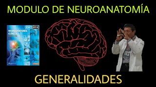 Neuroanatomía Clase 1 quotGeneralidadesquot Parte 2 [upl. by Ttebroc139]