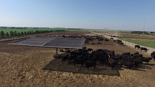 Drone View  Strobel Cattle Shade [upl. by Tnilc]