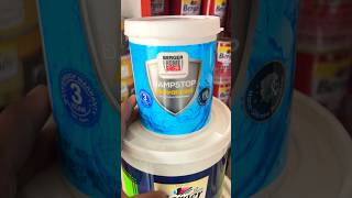 Unique waterproof paint for your home and you have to know about it berger bergerpaints shorts [upl. by Islean]