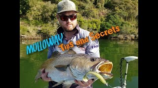 Mulloway Tips and Secrets  Beginners Guide to using Plastics Vol 1 [upl. by Cardie]