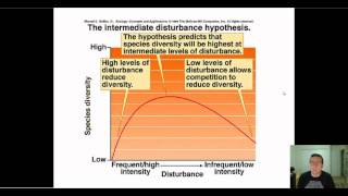 Disturbance Intensity amp Ecosystem Biodiversity Extra [upl. by Attalanta286]