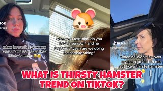 What is THIRSTY HAMSTER SUNROOF TREND ON TIKTOK🐹• THIRSTY HAMSTER SUNROOF • THIRSTY HAMSTER MEANING [upl. by Padriac]