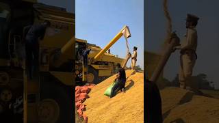 New Holland Combine Harvester combine harvester combineharvester shorts [upl. by Winser436]