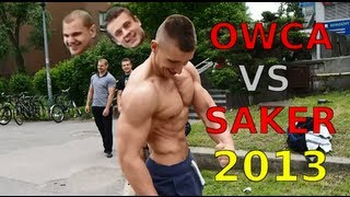 Warszawski koks Owca vs Saker 2013 Pozowanie i dieta Owcy [upl. by Lyrahs823]